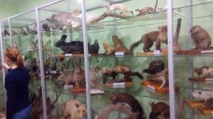 Экскурсия в зоологический музей КФУ