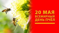 ВСЕМИРНЫЙ ДЕНЬ ПЧЁЛ 20 МАЯ