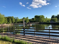 Ушковские острова замечательное место для отдыха и развлечений! 