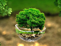 Экологическое занятие: «Сохраним планету!!!». 