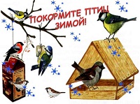 Акция: Покормите птиц зимой