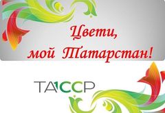 «Цвети мой Татарстан».