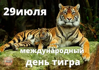 Тигриный день в «Камских зорях»: дошколята узнали о редком хозяине тайги.