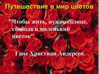 Удивительное путешествие в мир цветов.