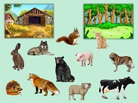 «Животные в природе и дома». 