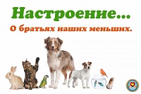 «День братьев наших меньших». 