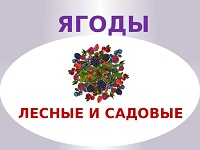 Дары природы и заботливых  рук