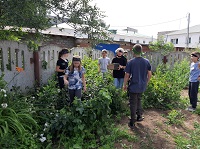 День пиратских приключений